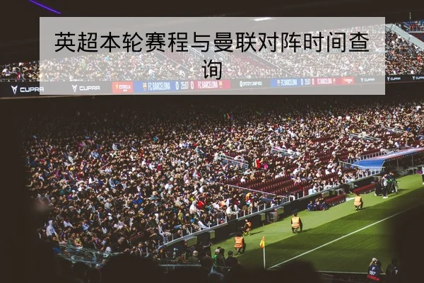 足彩总进球数盘口规则解读与风险说明